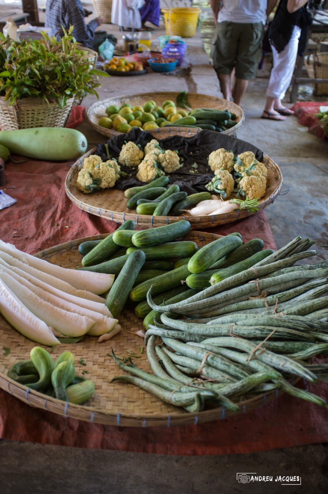 birmanie-222 (Grand).jpg